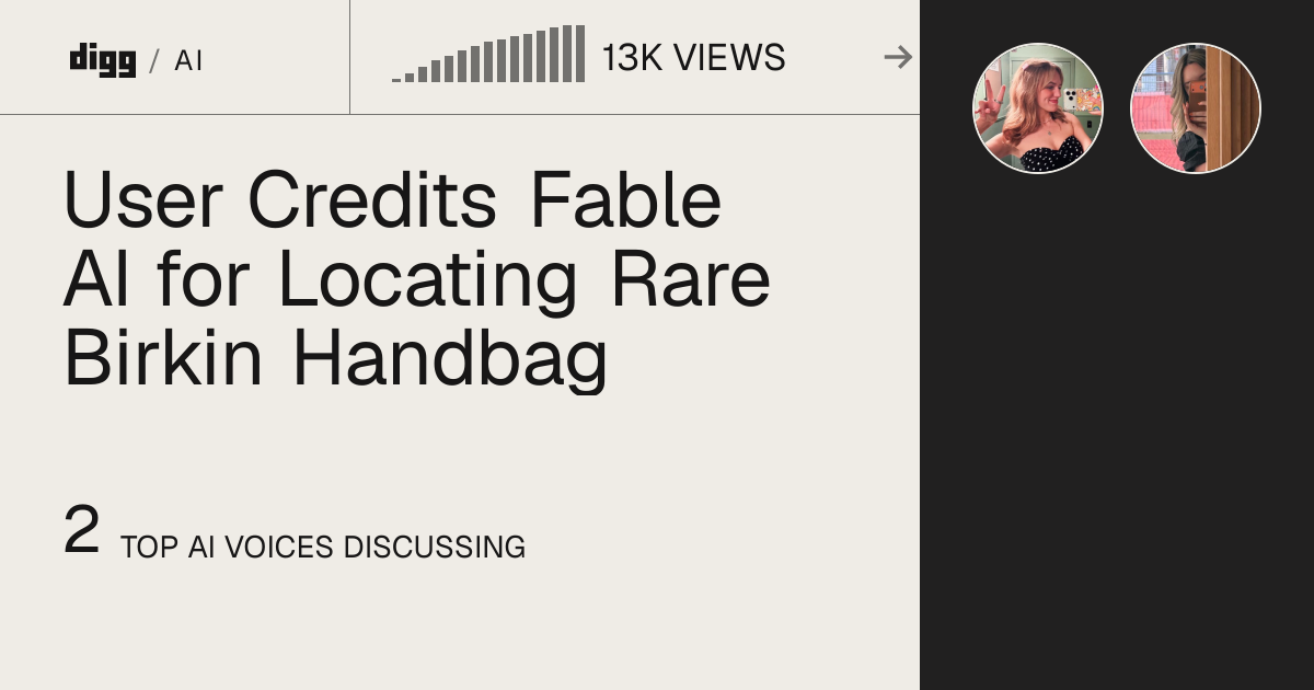 User Credits Fable AI for Locating Rare Birkin Handbag · Digg